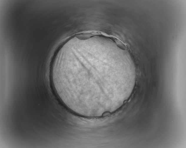 X0000088860006200707061059