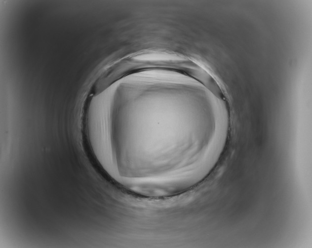 X0000088860007200707061059
