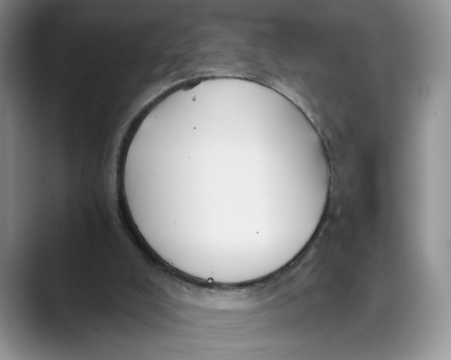 X0000088860008200707061059