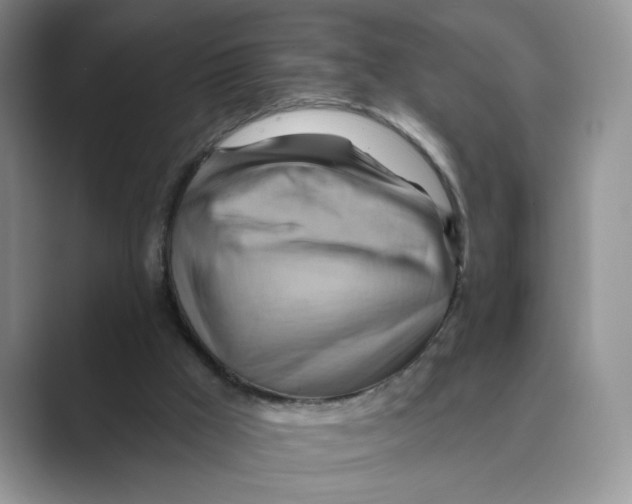 X0000088860009200707061059