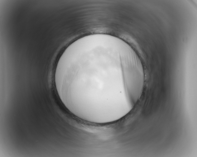 X0000088860012200707061059