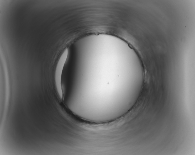 X0000088860013200707061059