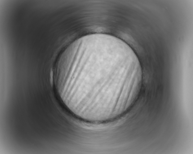X0000088860014200707061059