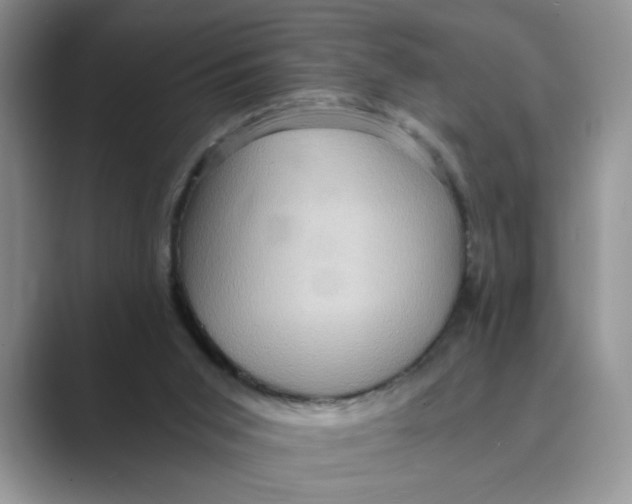 X0000088860015200707061059