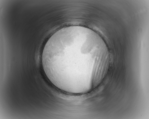 X0000088860016200707061059
