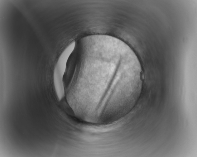 X0000088860017200707061059