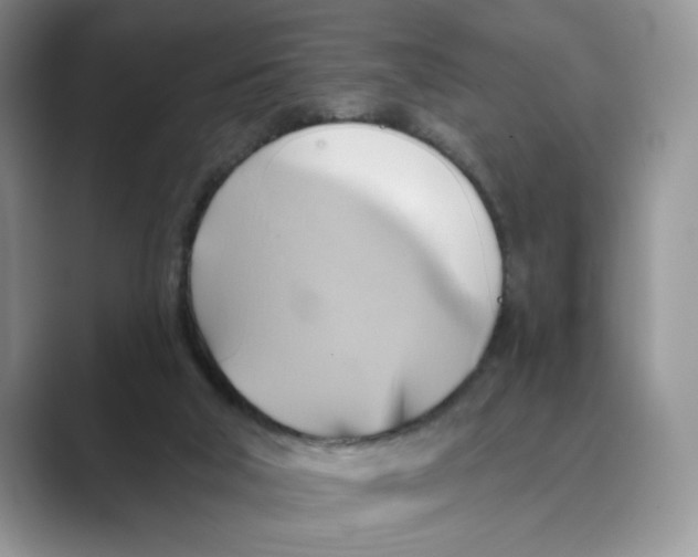 X0000088860018200707061059