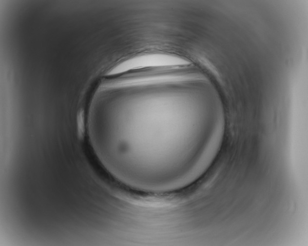 X0000088860020200707061059