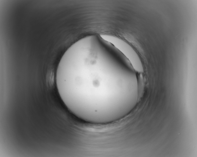 X0000088860021200707061059