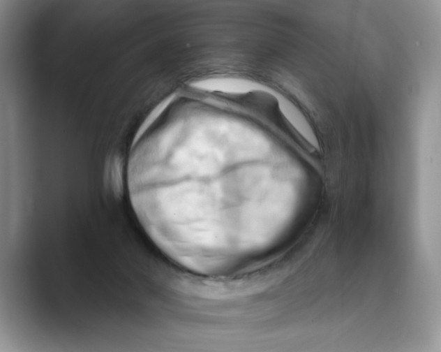 X0000088860022200707061059