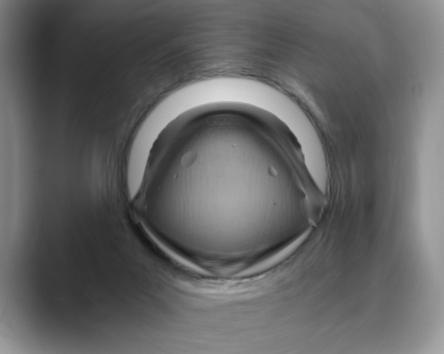 X0000088860023200707061059