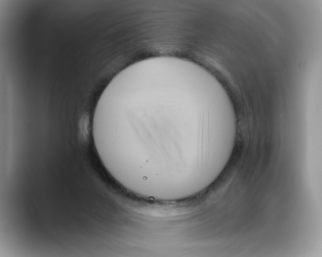 X0000088860024200707061059