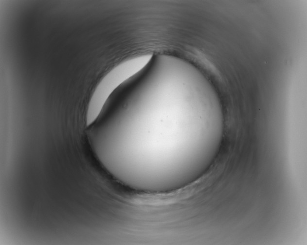 X0000088860025200707061059