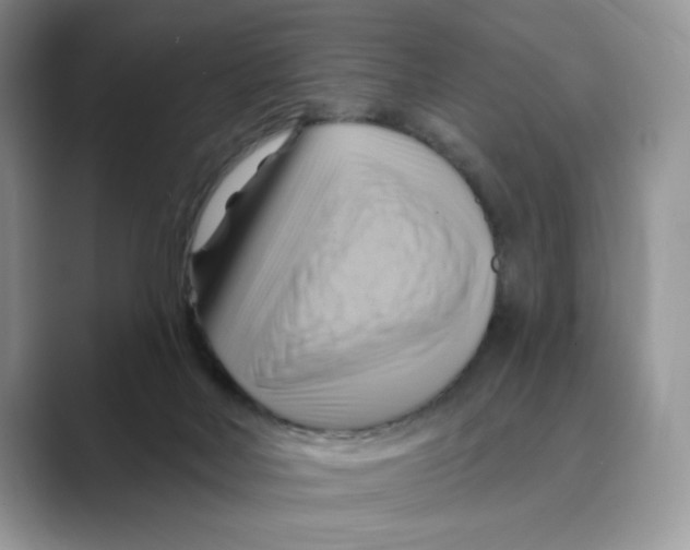 X0000088860026200707061059