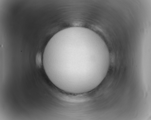 X0000088860028200707061059