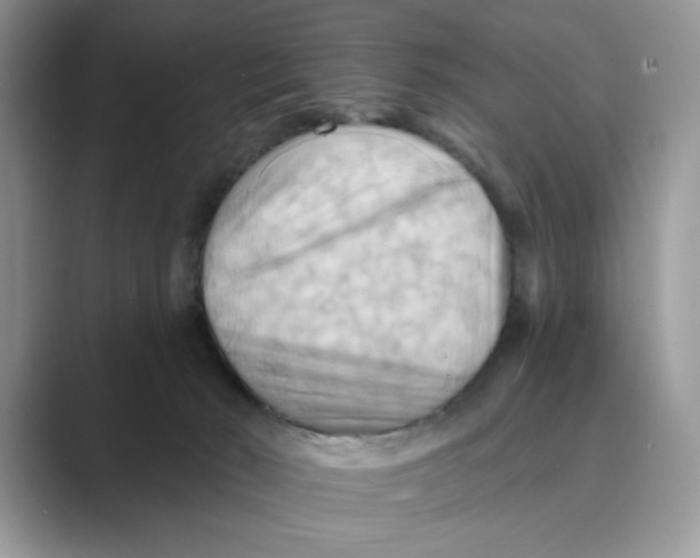 X0000088860030200707061059