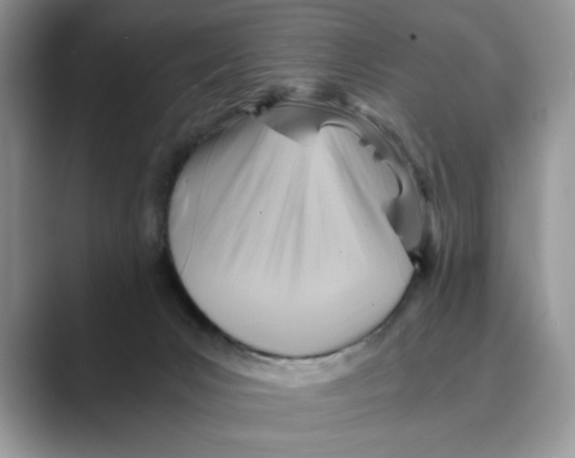X0000088860031200707061059
