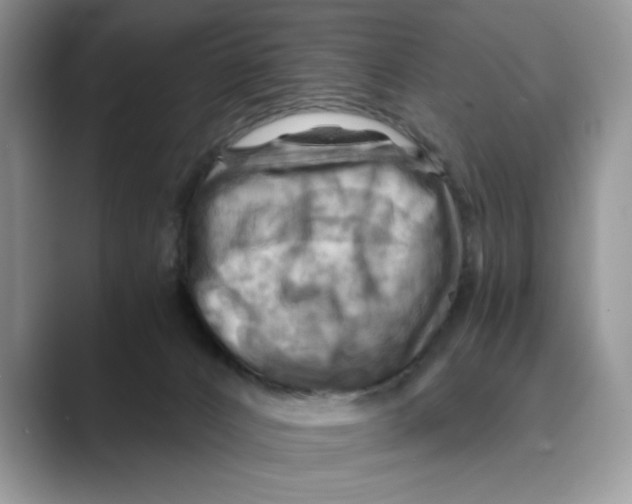 X0000088860032200707061059