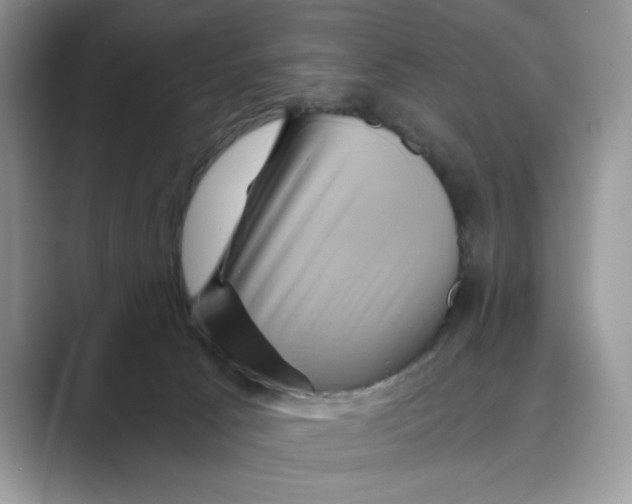 X0000088860033200707061059