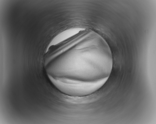 X0000088860034200707061059
