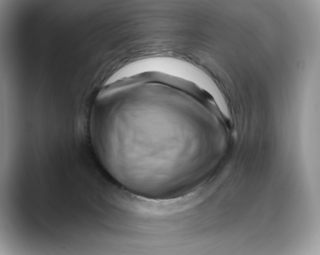 X0000088860035200707061059