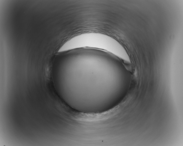 X0000088860037200707061059