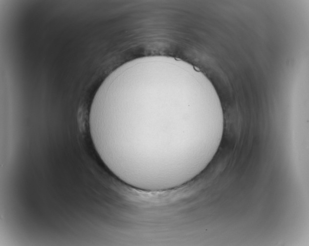 X0000088860038200707061059