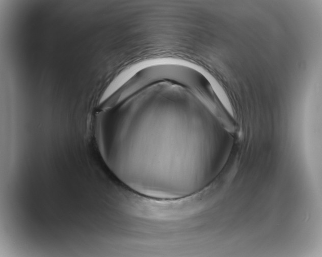X0000088860039200707061059