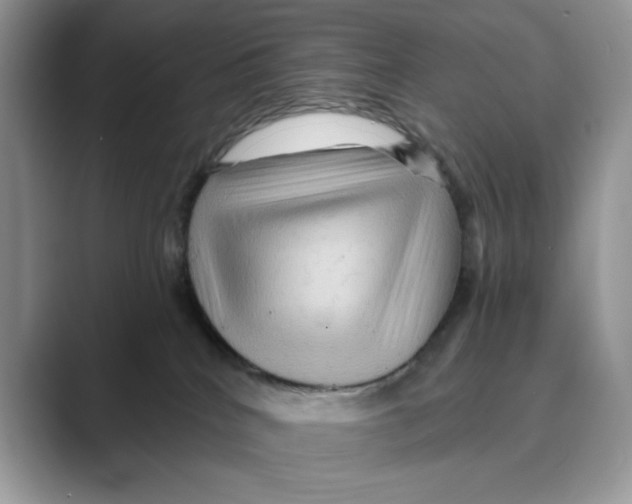 X0000088860040200707061059