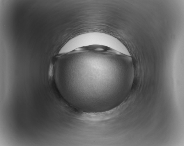 X0000088860041200707061059