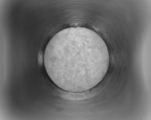 X0000088860042200707061059