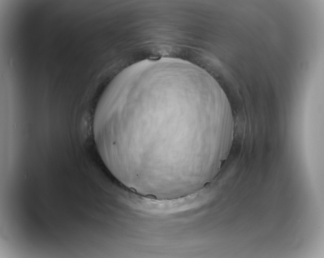 X0000088860043200707061059
