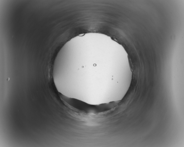 X0000088860044200707061059