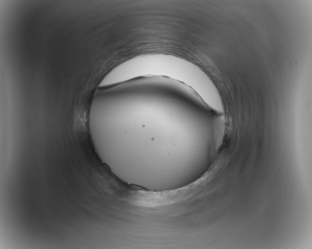 X0000088860045200707061059