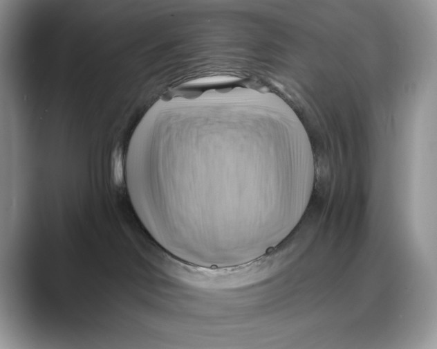 X0000088860046200707061059