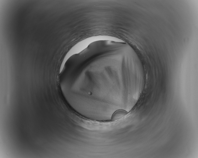 X0000088860048200707061059