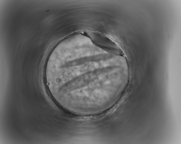 X0000088860049200707061058