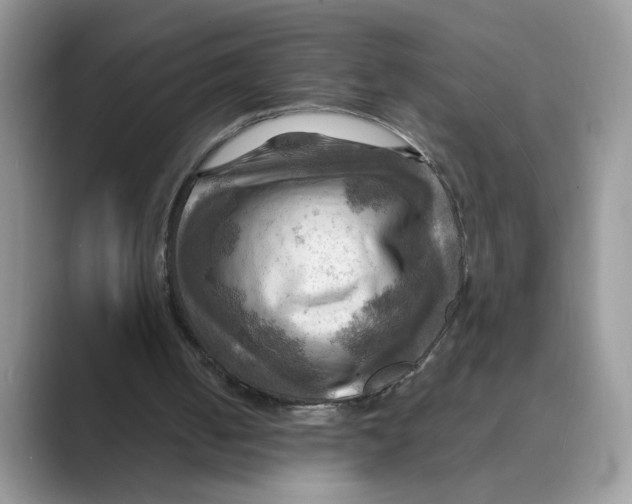 X0000088860050200707061058