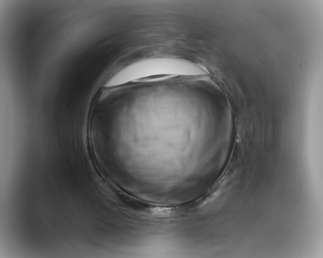 X0000088860052200707061058