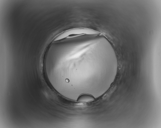 X0000088860053200707061058