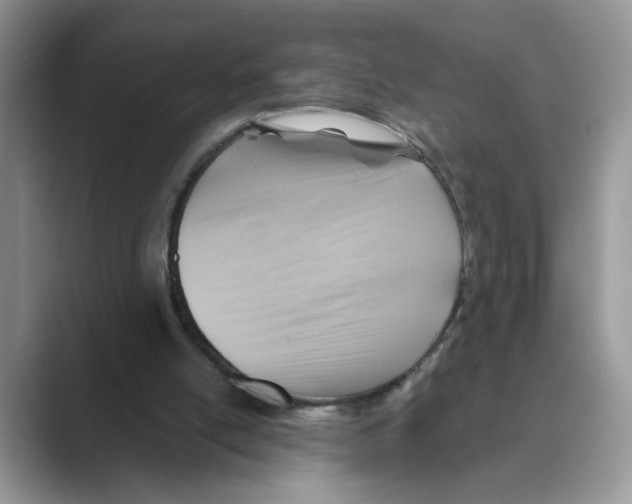 X0000088860054200707061058