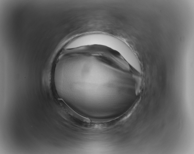 X0000088860056200707061058