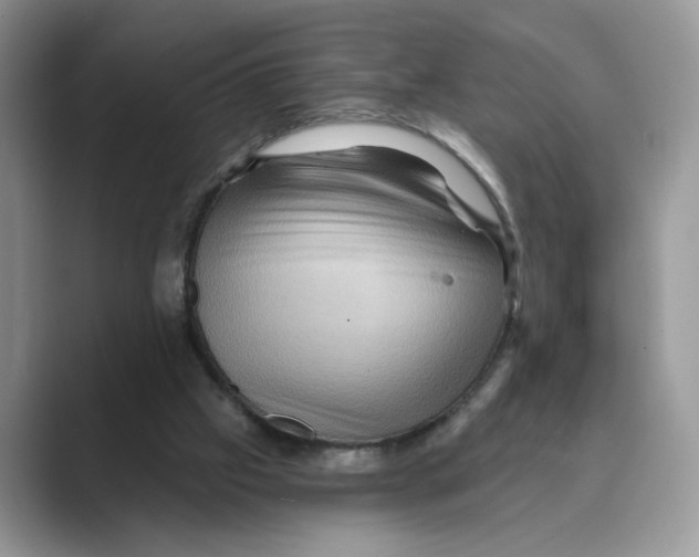 X0000088860057200707061058