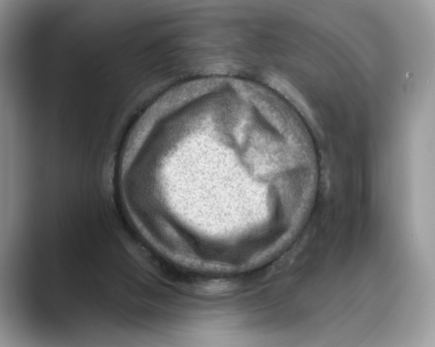 X0000088860058200707061058