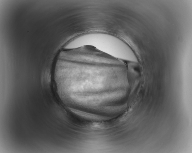 X0000088860060200707061058