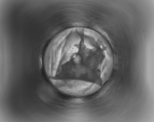 X0000088860061200707061058