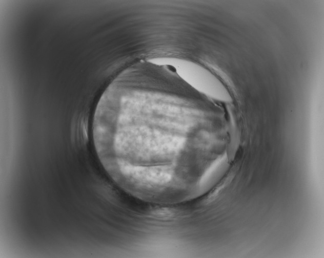 X0000088860062200707061058