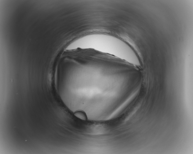 X0000088860063200707061058