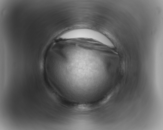 X0000088860064200707061058