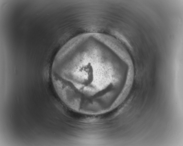 X0000088860065200707061058